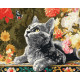 Картина за номерами Кошеня та метелики 40*50см КНО6818