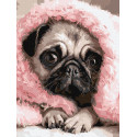Картина за номерами Закутаний Мопс 30х40см КНО6839