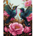 Картина за номерами Витончений колібрі з фарбами металік 40х50см КНО6566