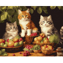 Картина за номерами  Котики і фрукти 40х50см КНО6586