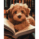 Картини за номерами Пухнастий читач 40х50см  КНО6587