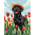 Картина за номерами Чарівний лабрадор 30х40см КНО6621