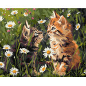 Картина за номерами Котики у квітах 40х50см КНО6631