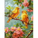 Картина за номерами Весняні канарки 30х40см КНО6655