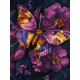 Картина за номерами Золотий метелик з фарбами металік extra 30х40см КНО6692