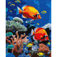 Картина за номерами Яскравий риф 40х50см  КНО6703