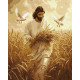 Картина за номерами Жнива віри 40х50 см КНО8532