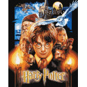 Картина за номерами WB Harry Potter: Постер з фарбами металік 40х50см КНО8716