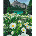 Картина за номерами Ромашки біля гір BS29451 40х50см