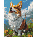 Картина за номерами Сонячний Коргі BS53943 40х50см