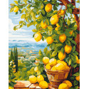 Картина за номерами Пейзаж. Лимонне дерево (цитрус) 40*50 см LW 3490