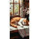 Картина за номерами Тварини. Рудий котик 40*80 см  LW 5163