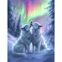 Алмазна мозаїка Небесний танок 30*40см S20468