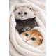 Алмазна мозаїка Котофейне щастя 40*50см S40159